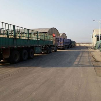 山東飼料添加劑